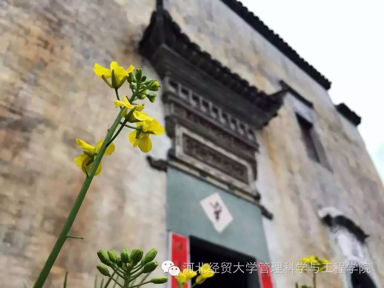 macau新葡京